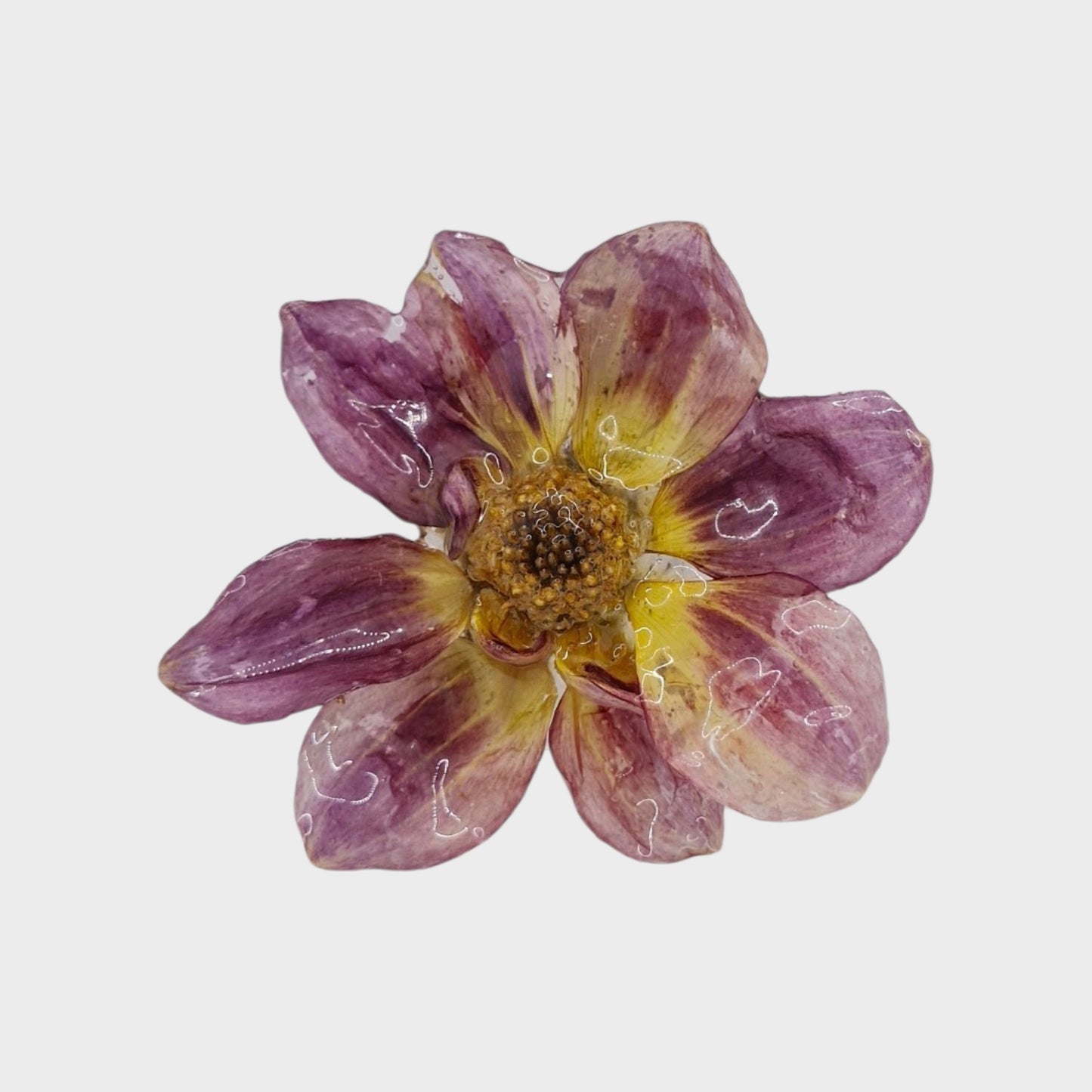 Dalia