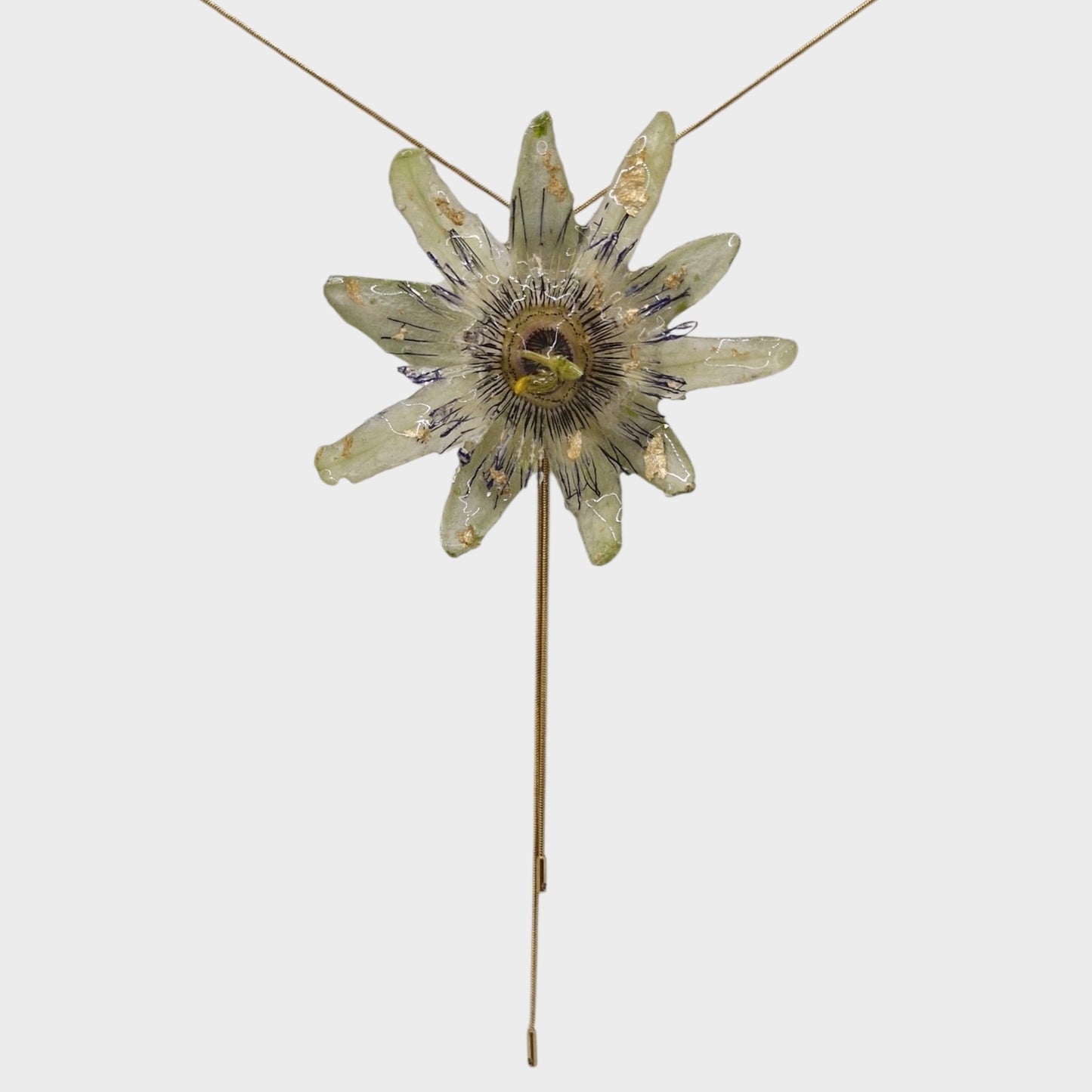 Pasiflora