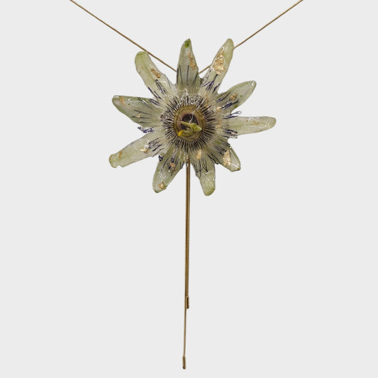 Pasiflora