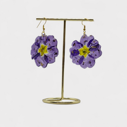 Primula