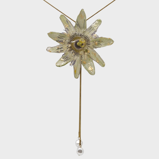 Pasiflora