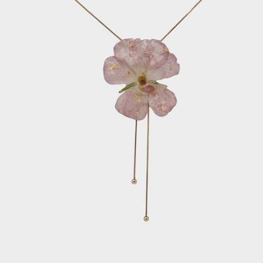 Amapola