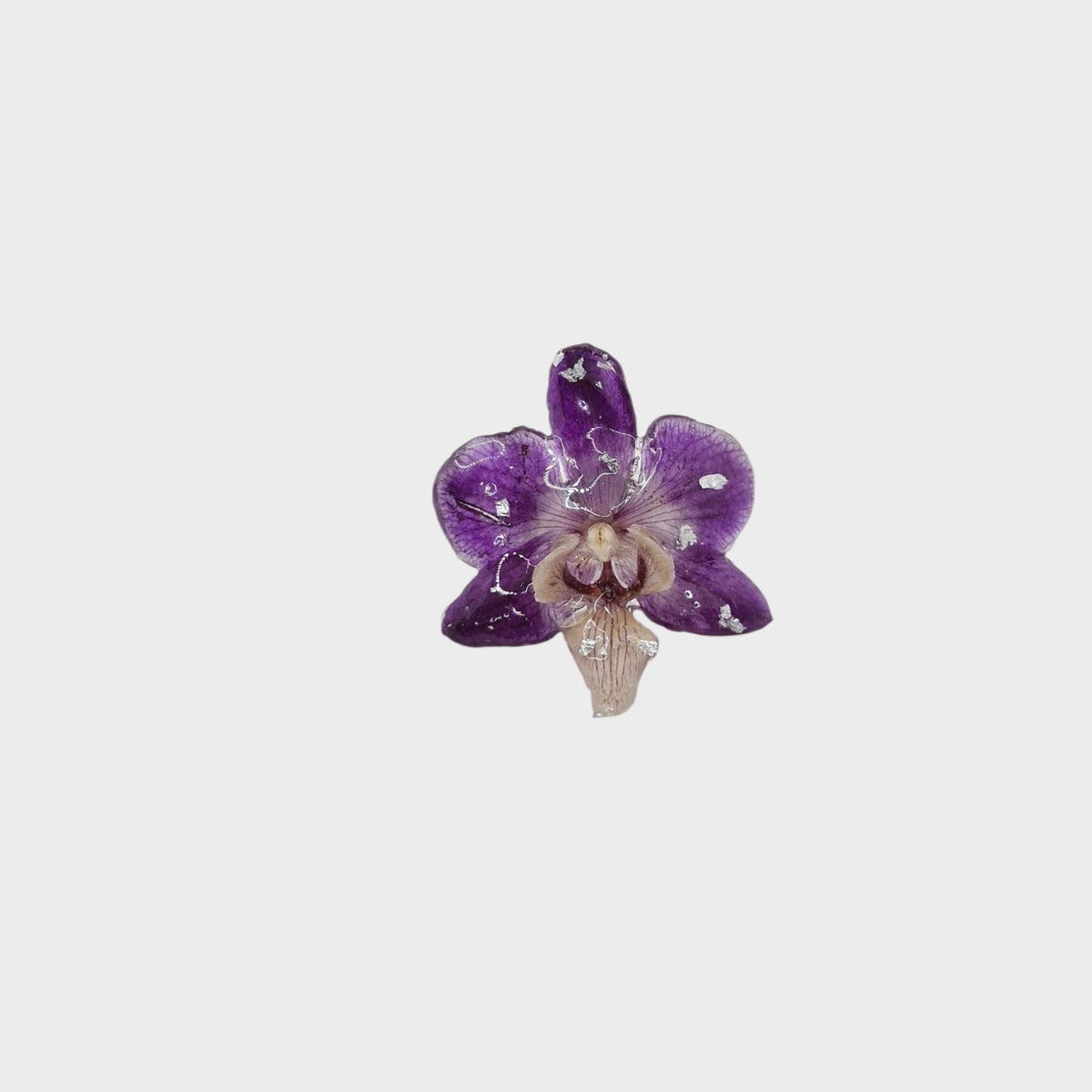 Mar