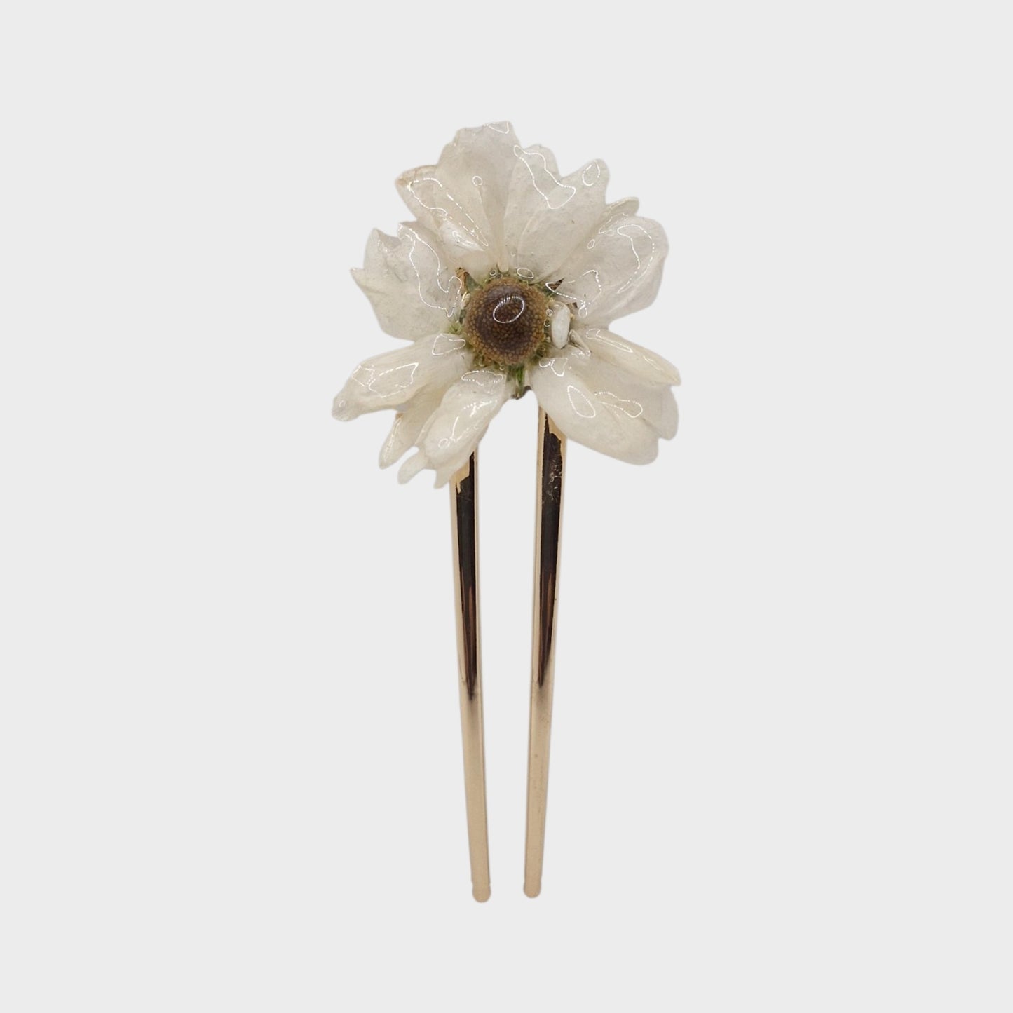 Asia