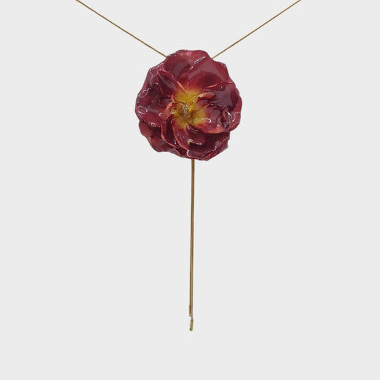 Roja