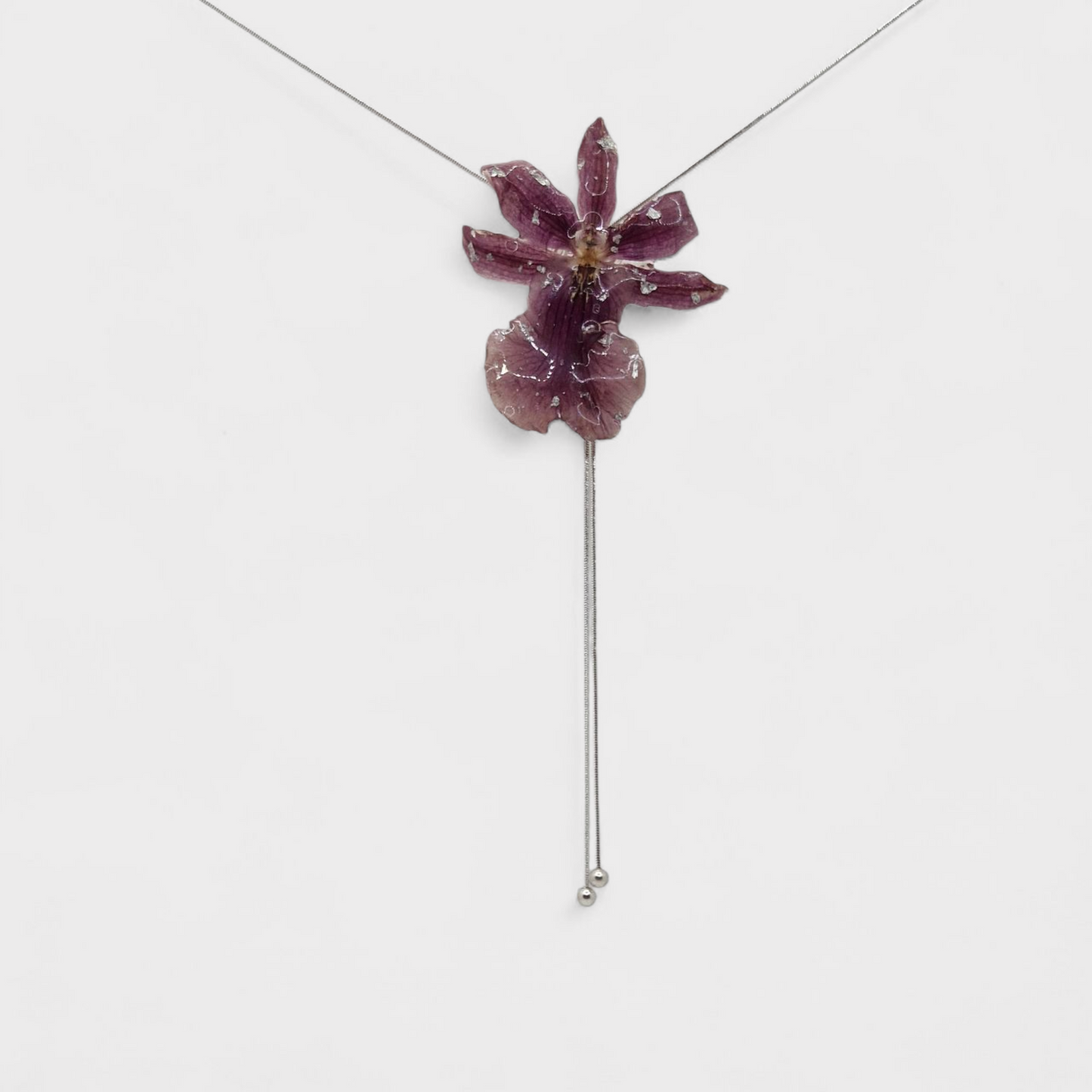Orquídies