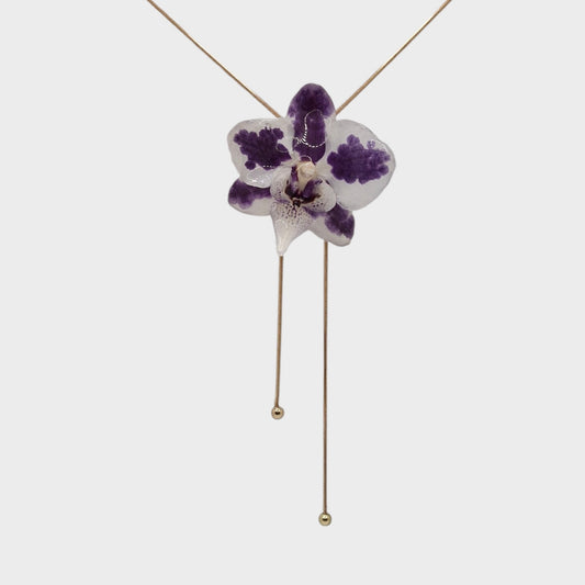 Orquídea