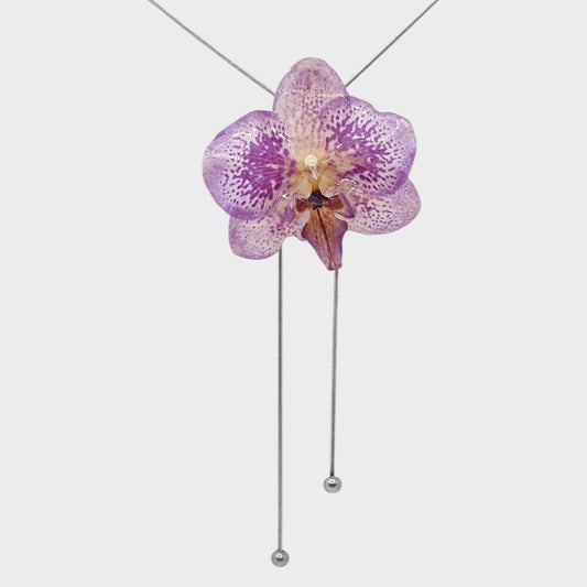 Orquídea
