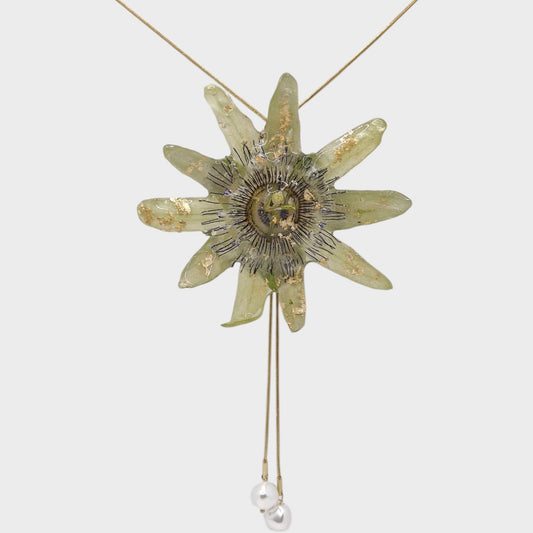 Pasiflora